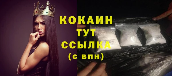 амф Болхов
